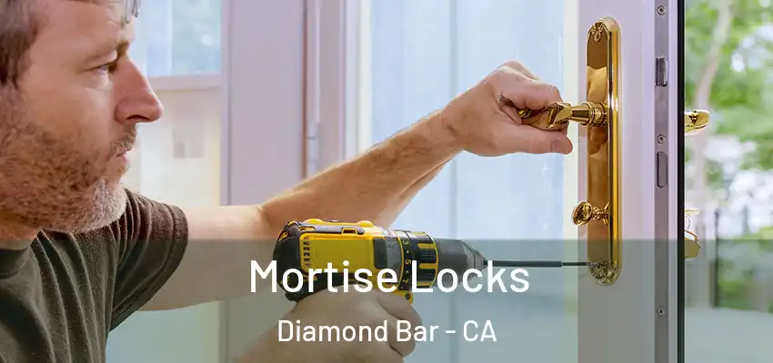  Mortise Locks Diamond Bar - CA